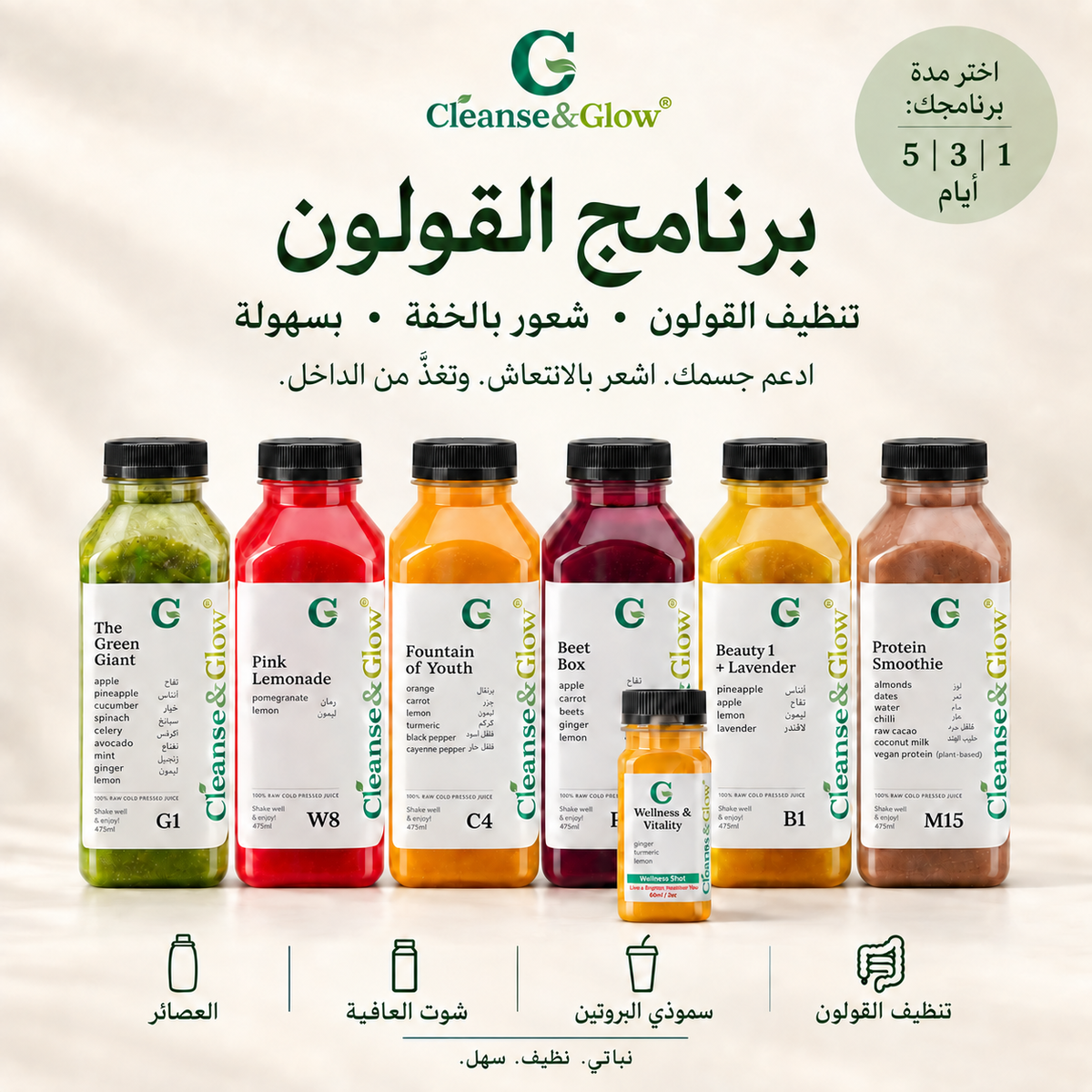The Colon Cleanse Program