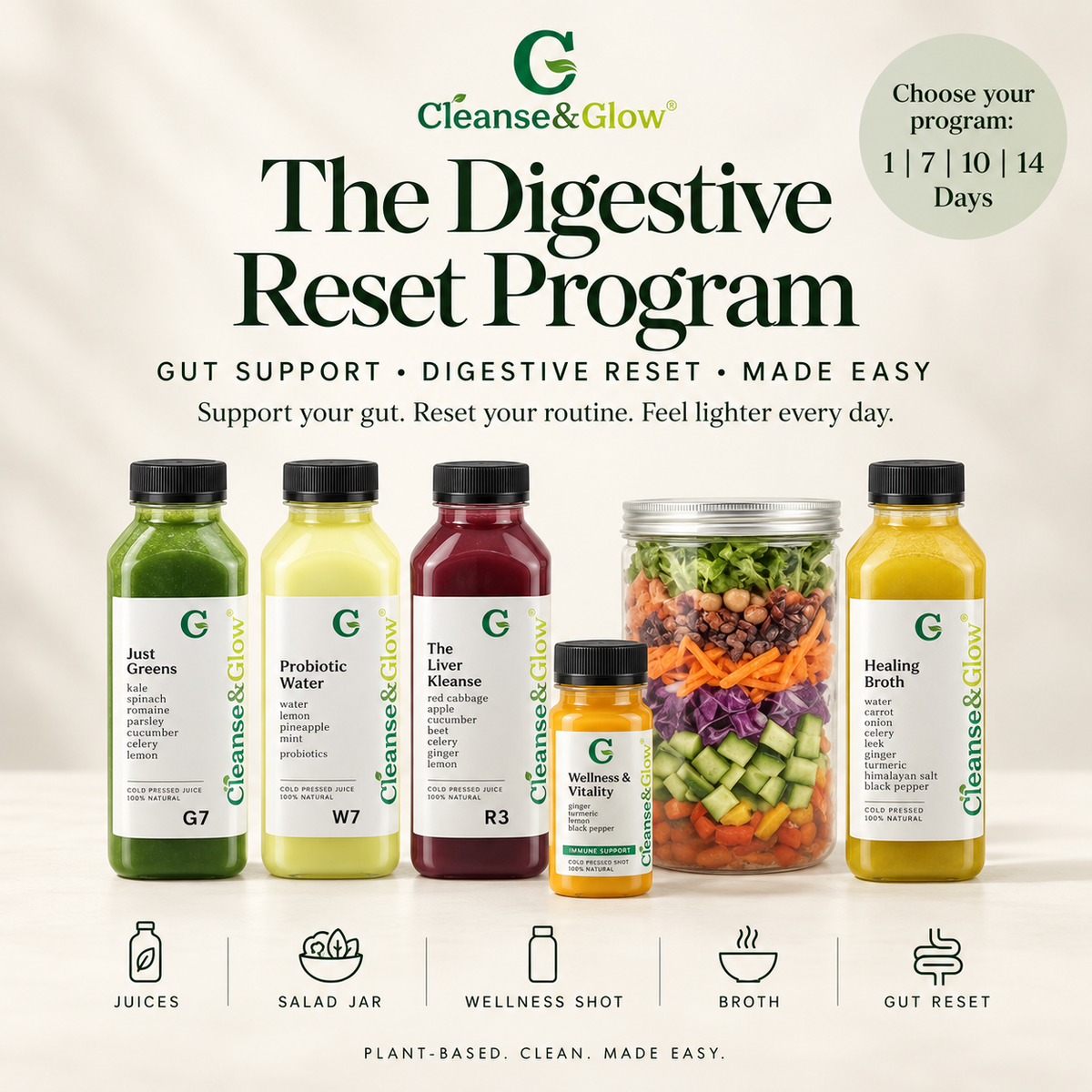 The Digestive Reset Program