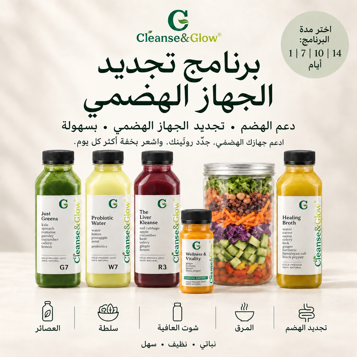The Digestive Reset Program