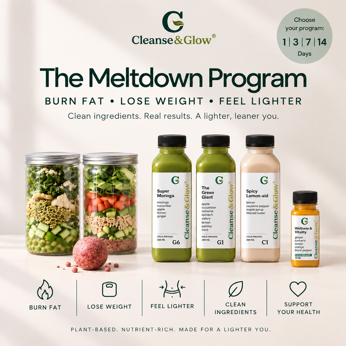 The Meltdown Program