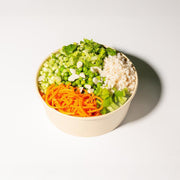 The Probiotic Bowl (bowl)